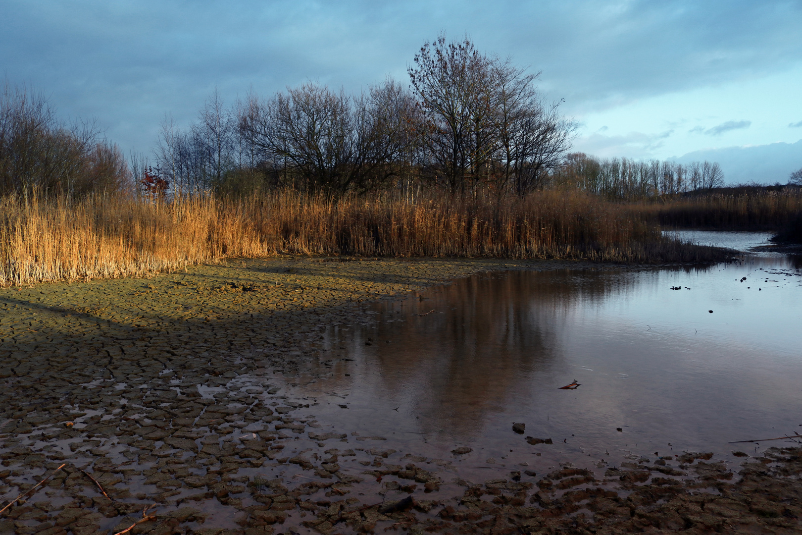 Winterlicht