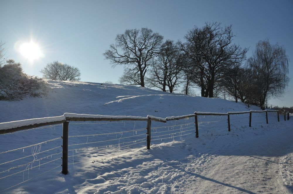 Winterlicht von karo1951 