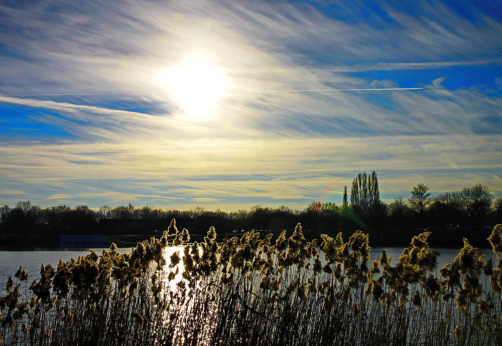 Winterlicht