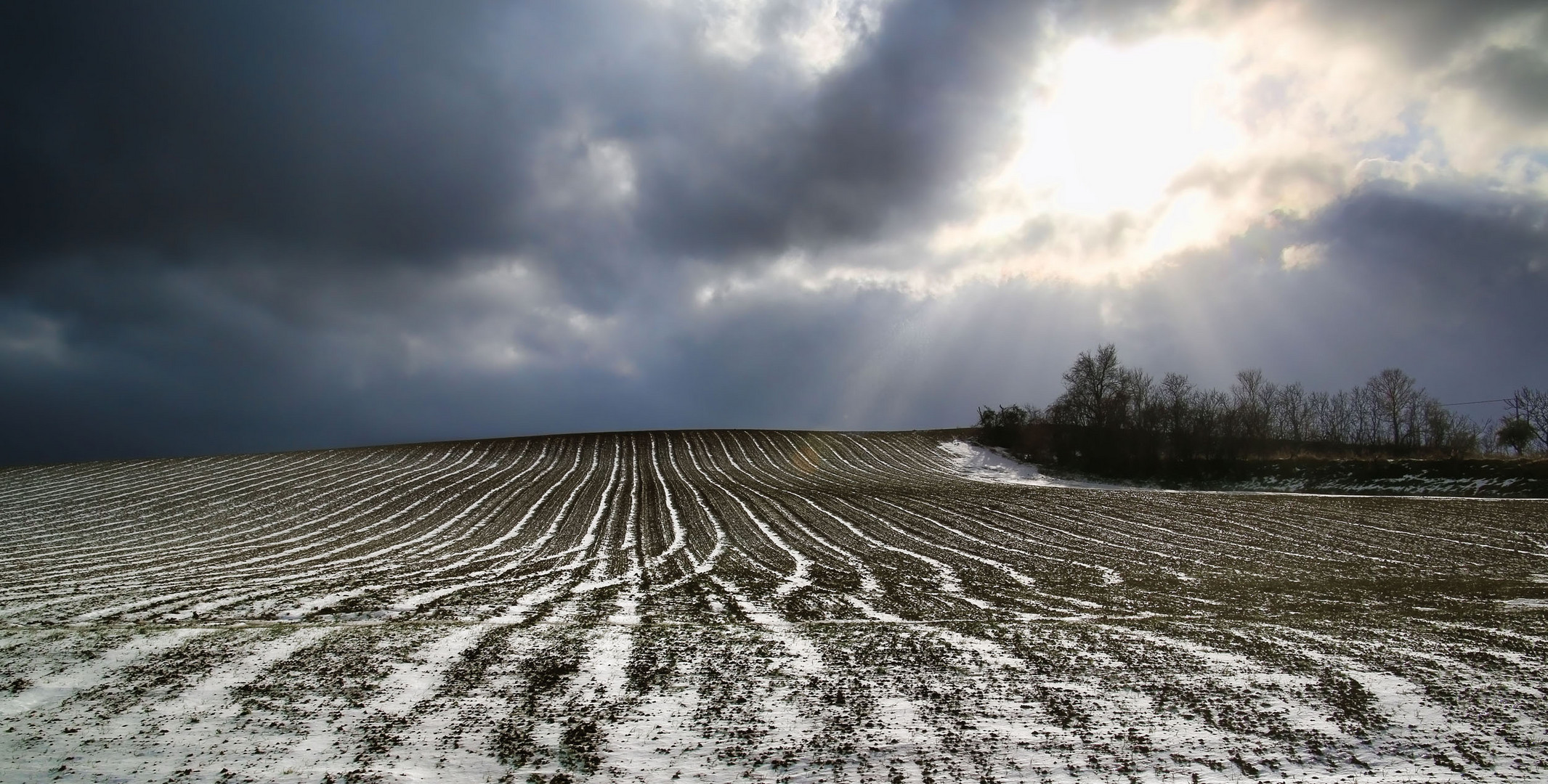 Winterlicht