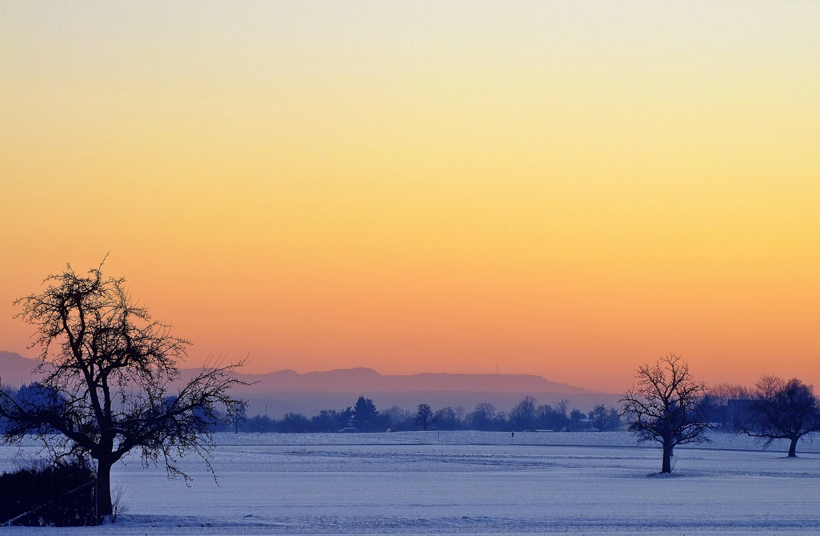 Winterlicht (7)