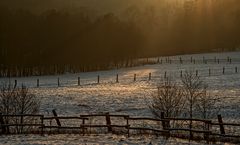 Winterlicht