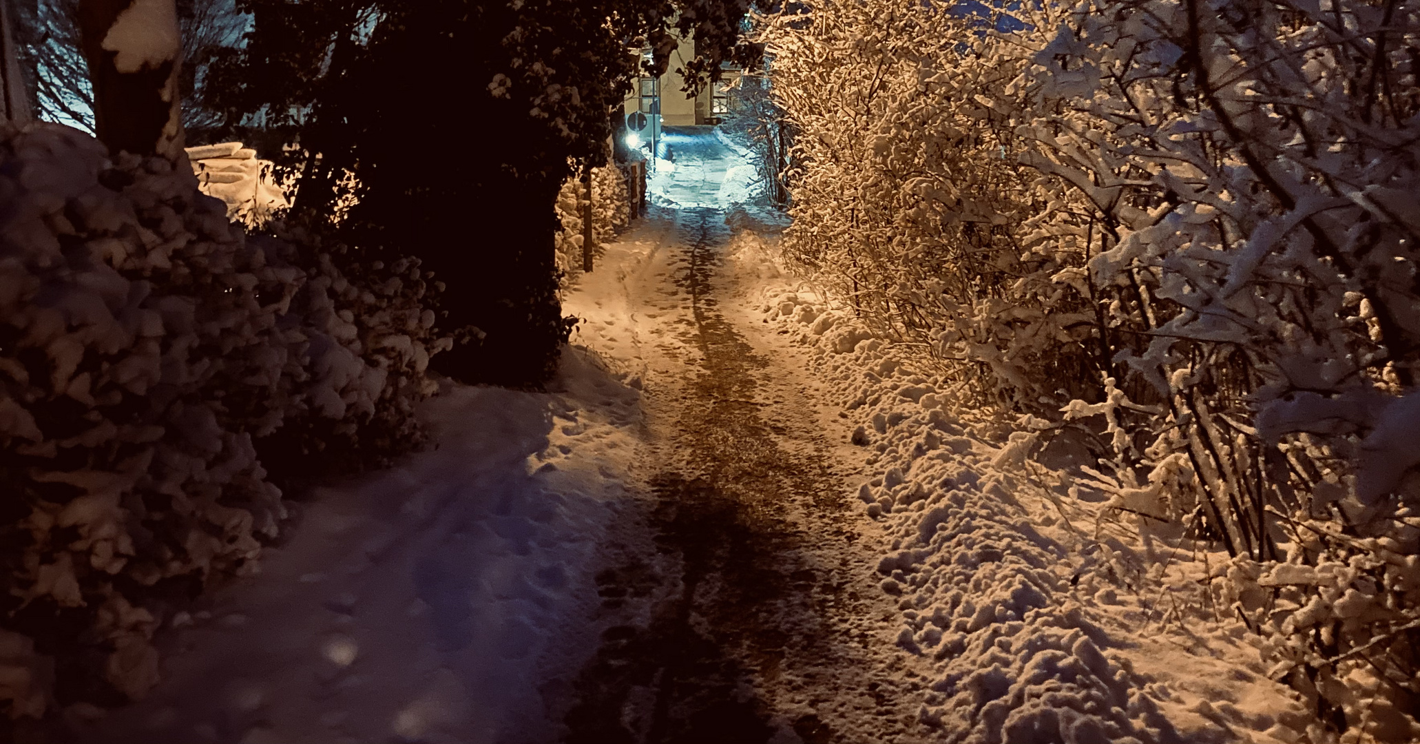 Winterlicht