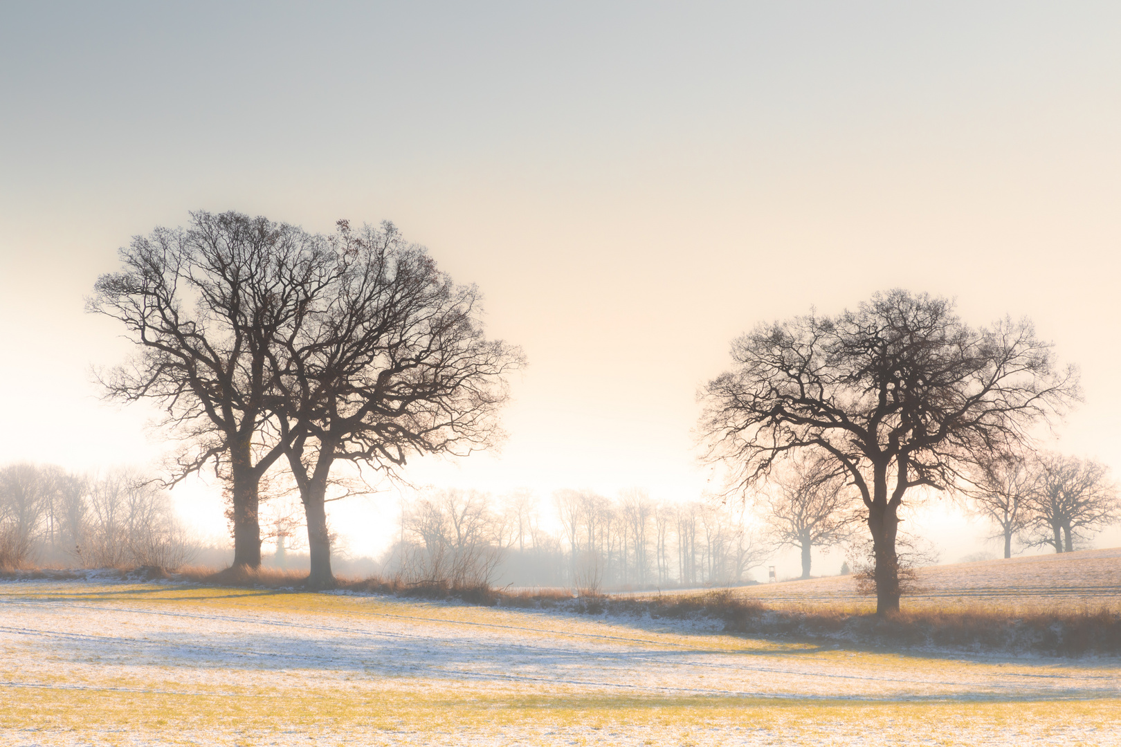 Winterlicht