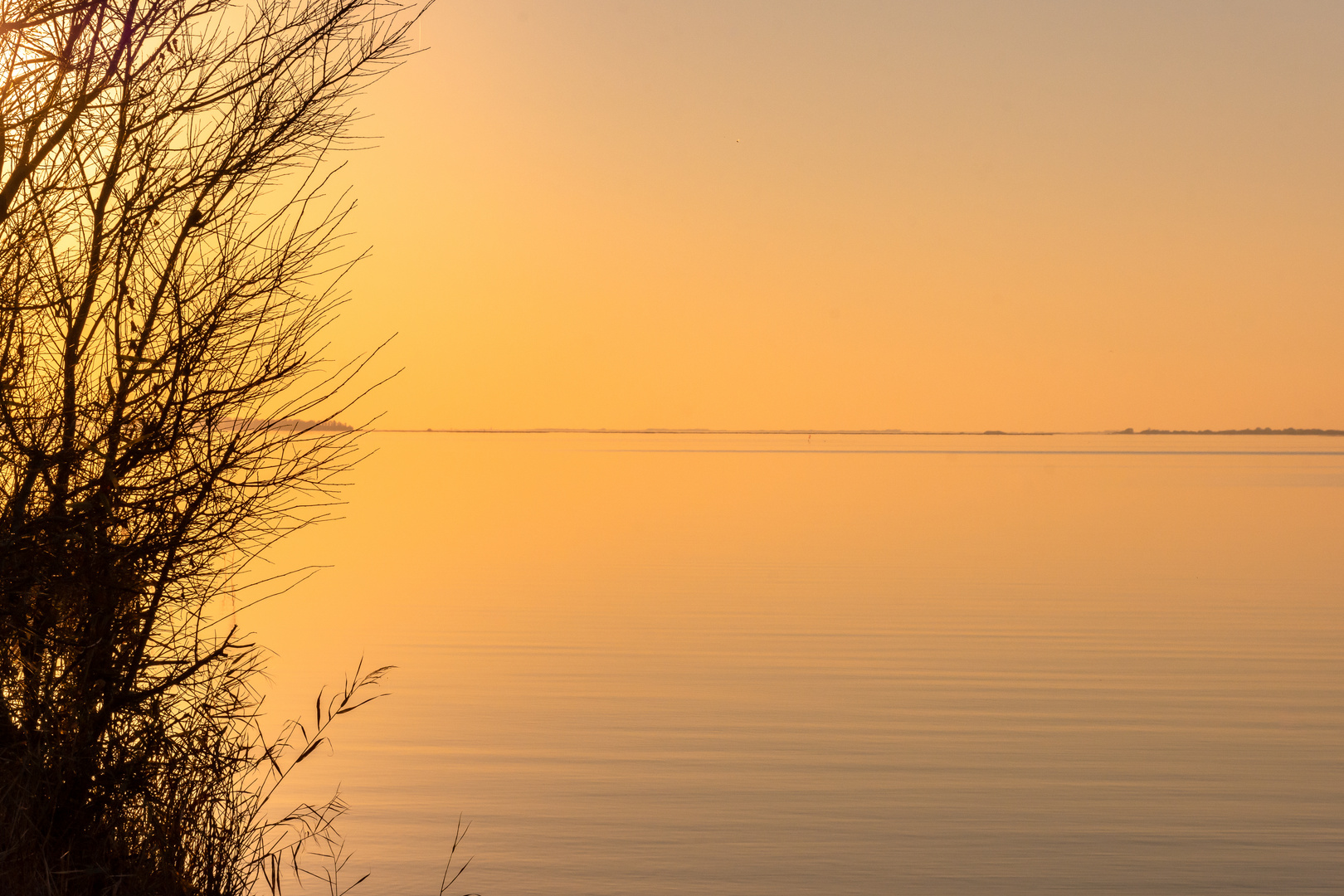 Winterlicht am Bodden