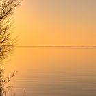 Winterlicht am Bodden