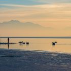 Winterlicht am Chiemsee