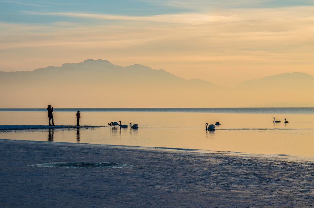 Winterlicht am Chiemsee