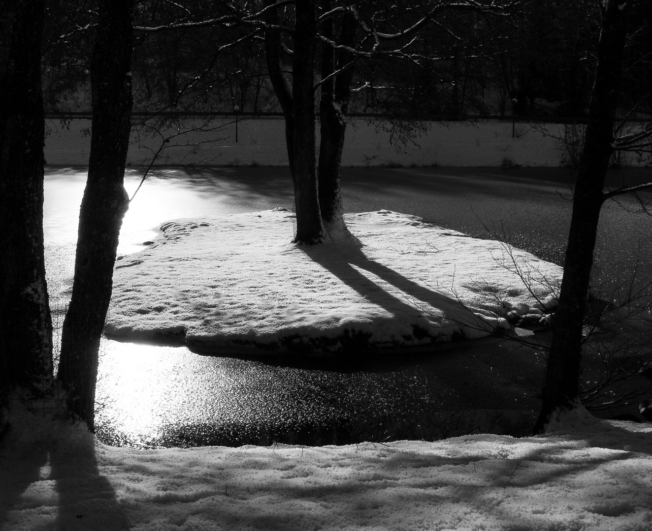 Winterlicht am Dreiburgensee