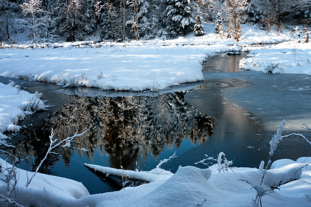 Winterlicht am Dreiburgensee 