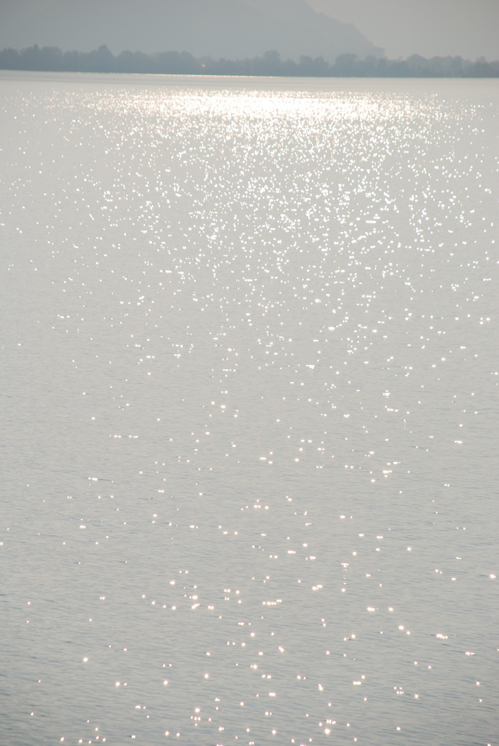 Winterlicht auf Silbersee