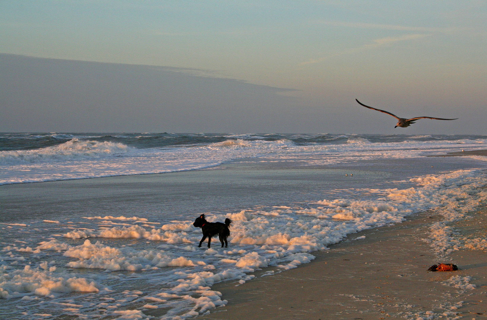 Winterlicht auf Sylt 1