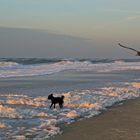 Winterlicht auf Sylt 1