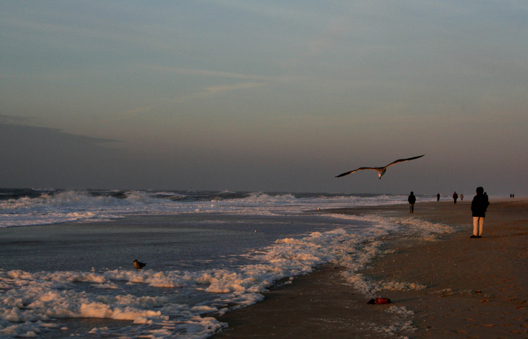 Winterlicht auf Sylt 2