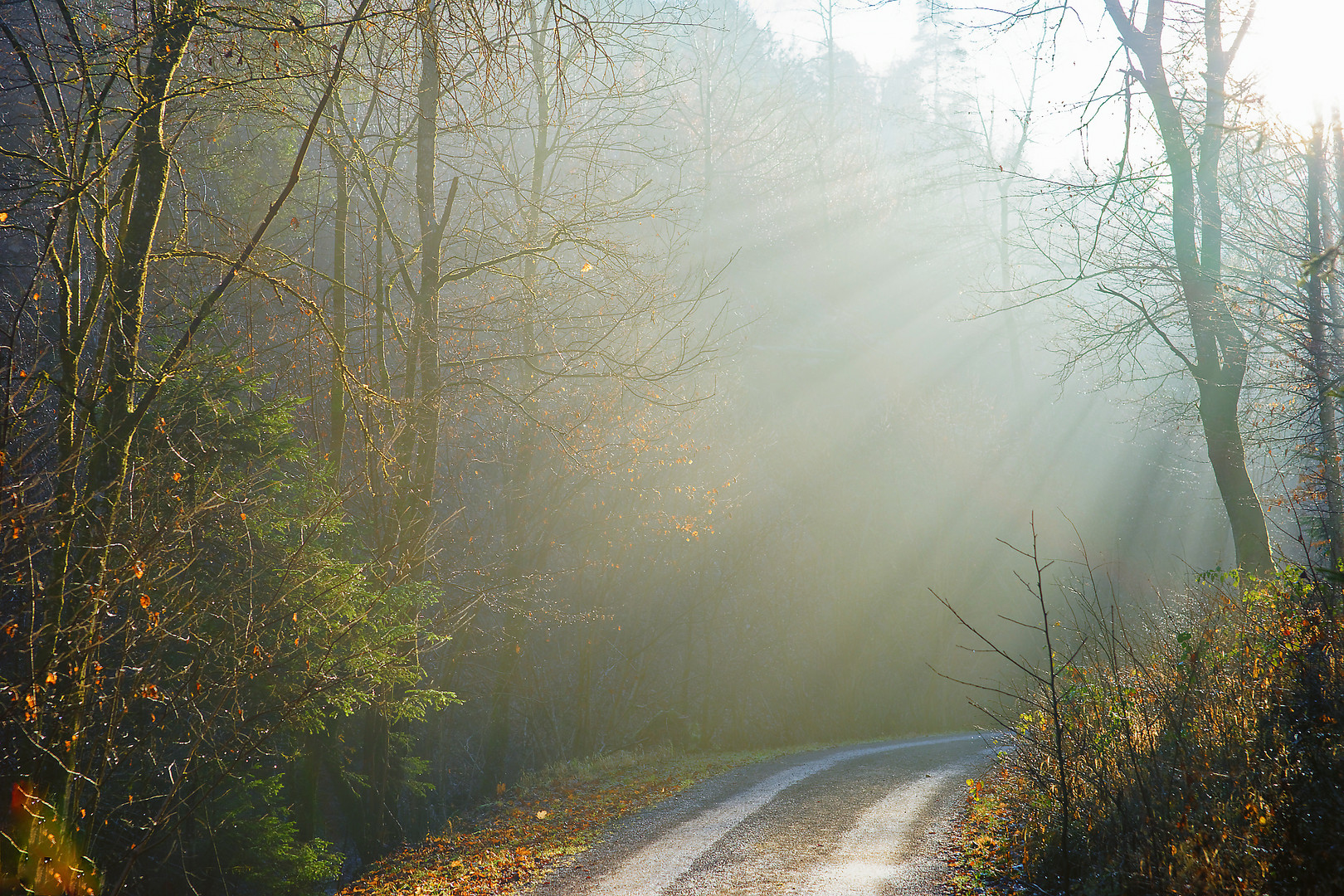 Winterlicht