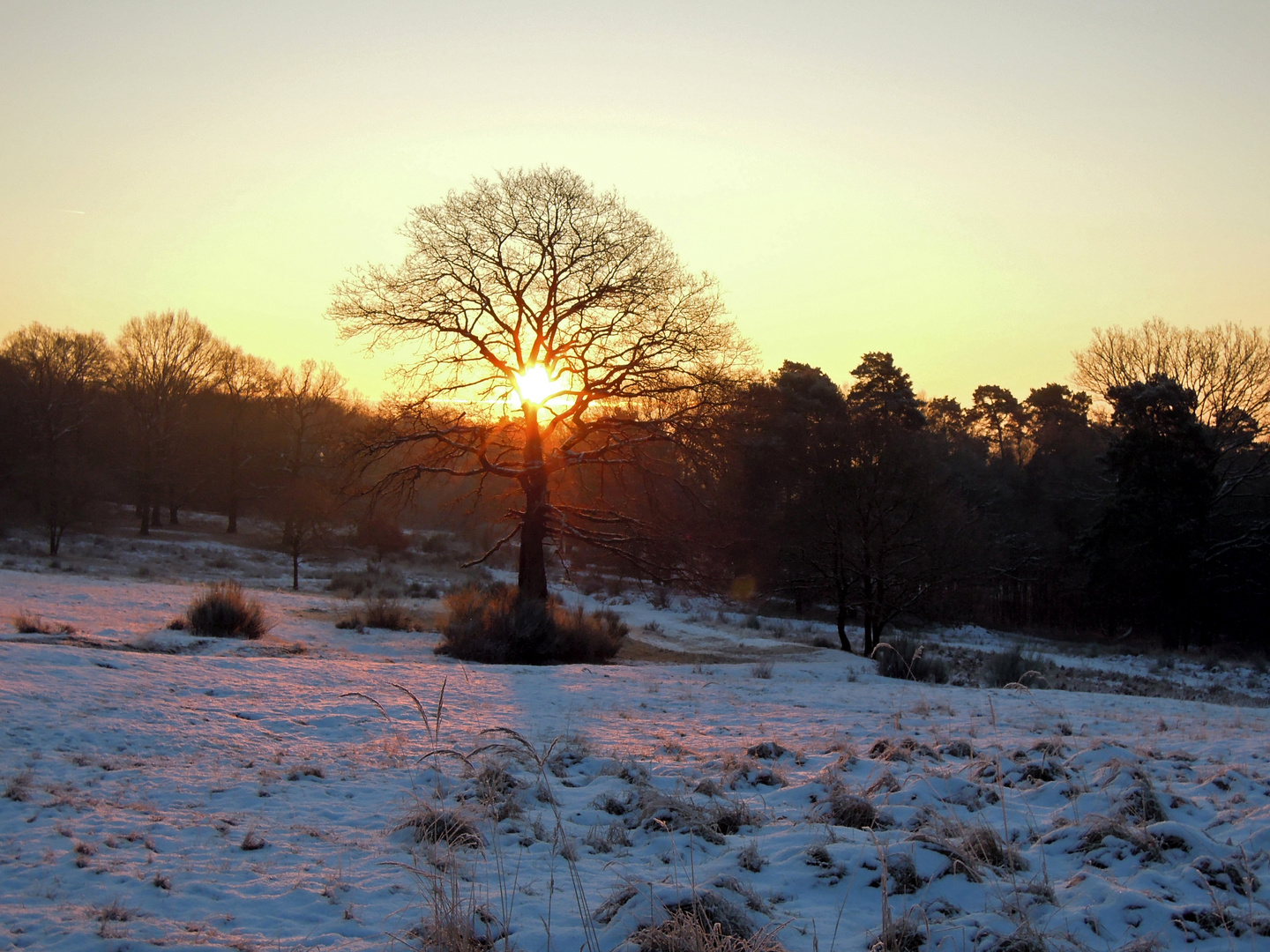 Winterlicht