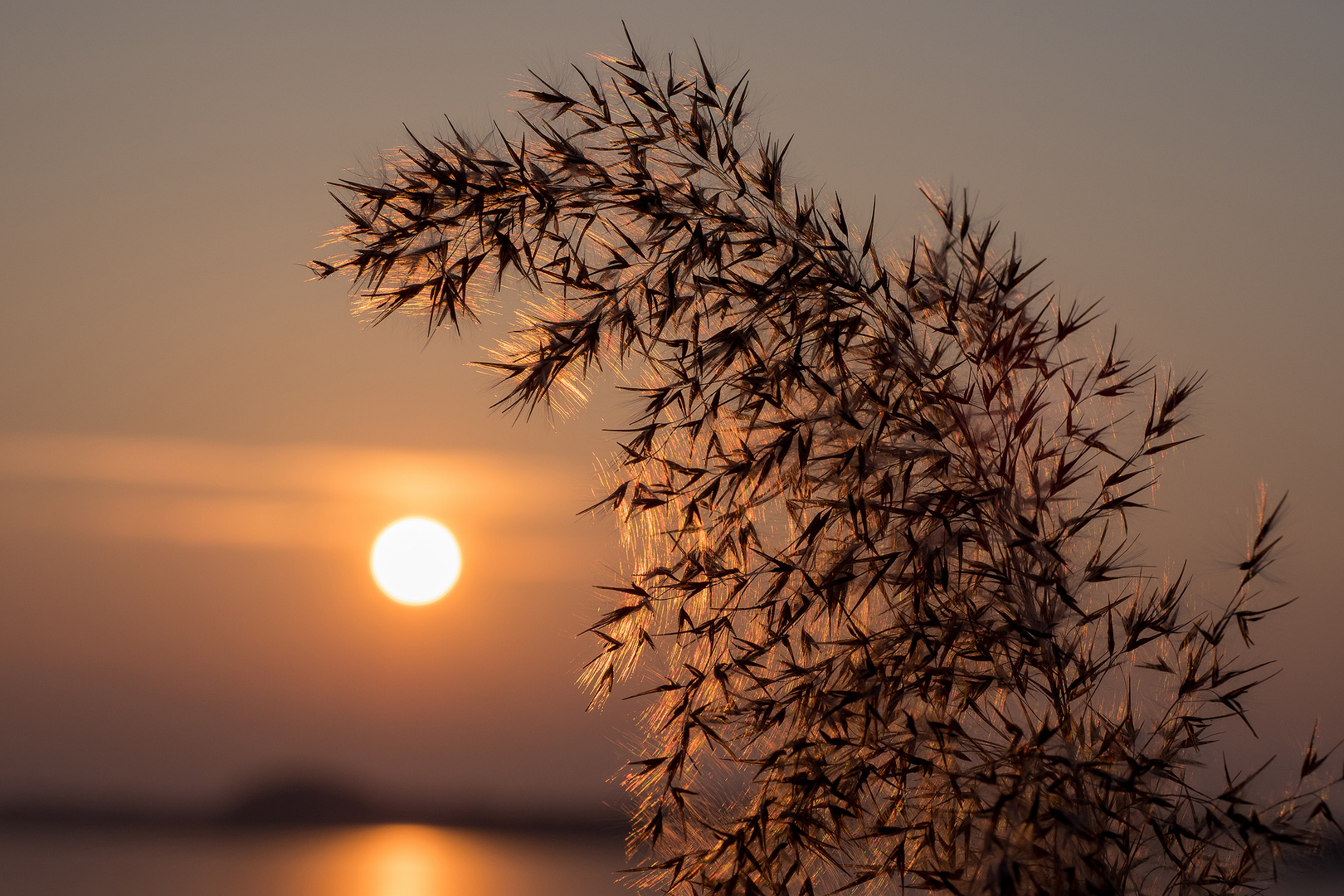 Winterlicht