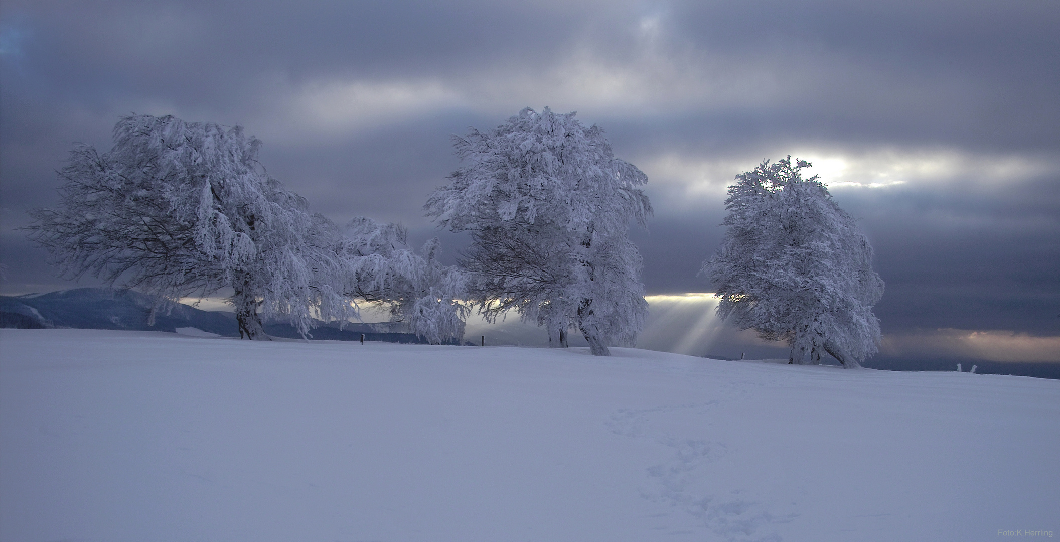 Winterlicht