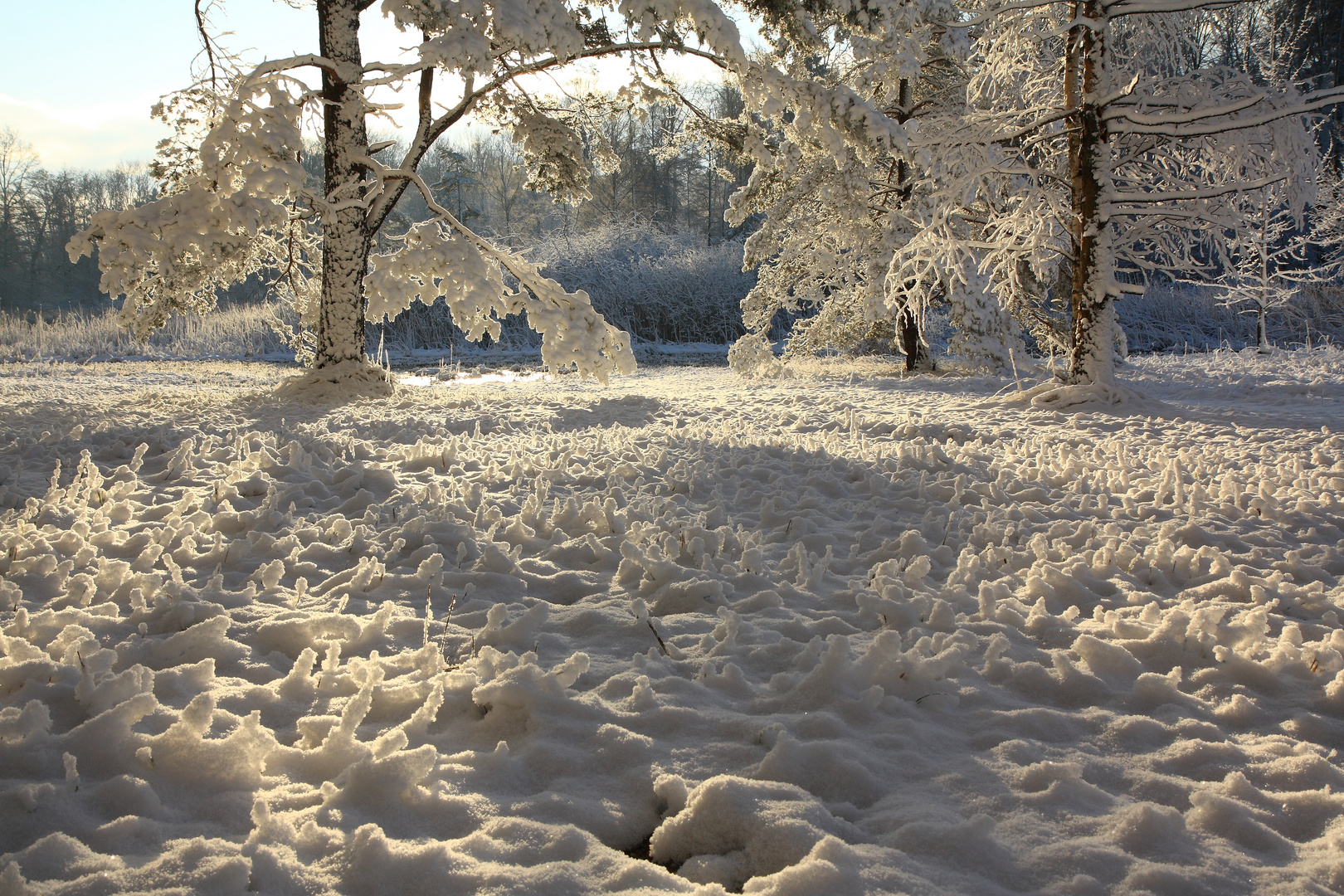 Winterlicht