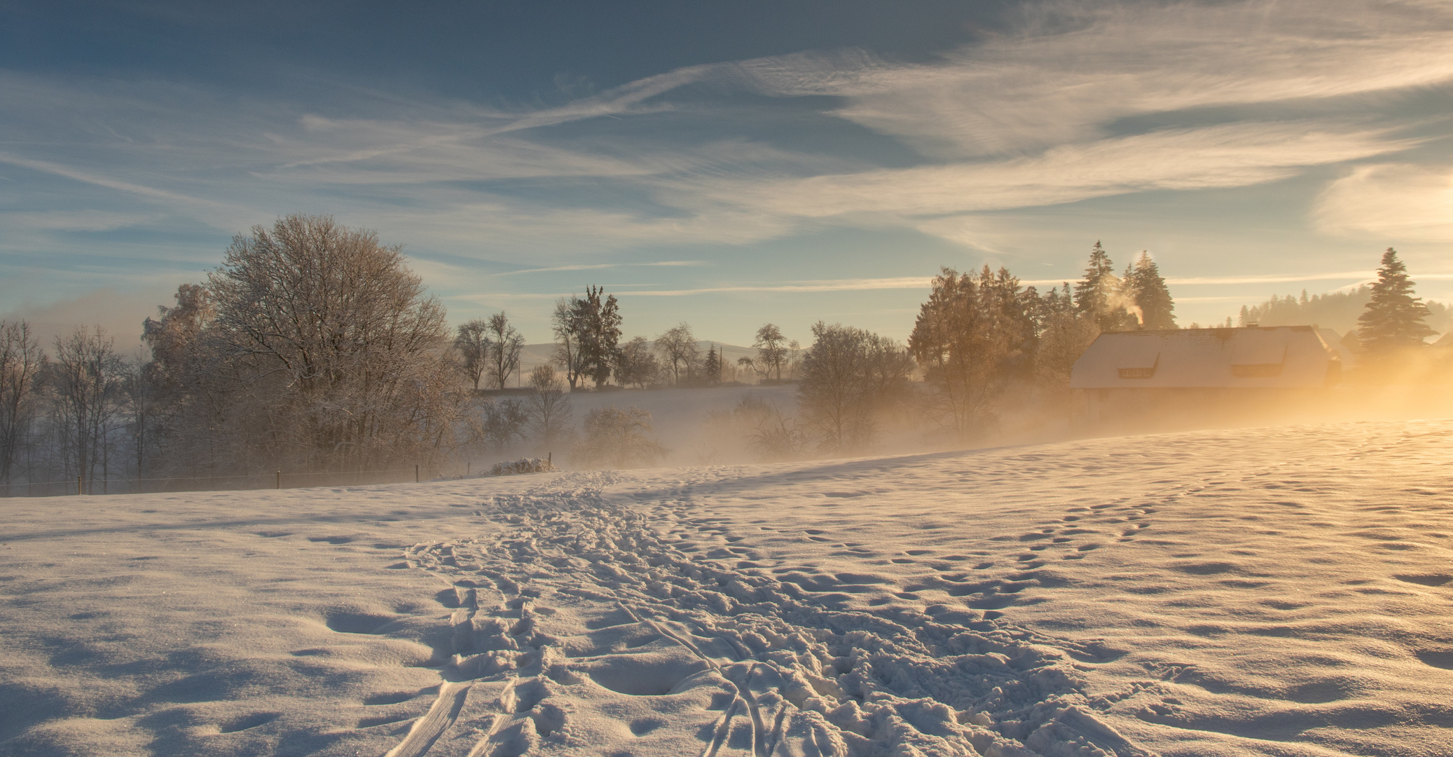 Winterlicht