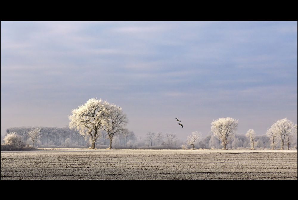 Winterlicht