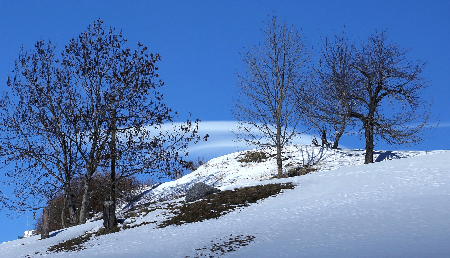 Winterlicht