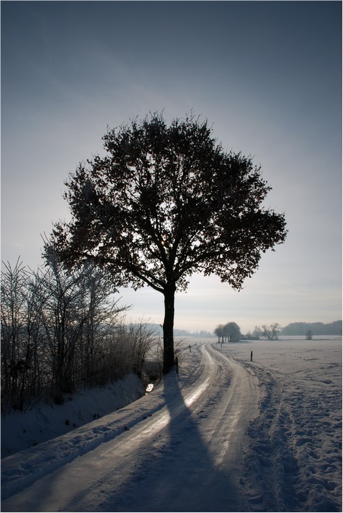 Winterlicht von Uli P. Weber 