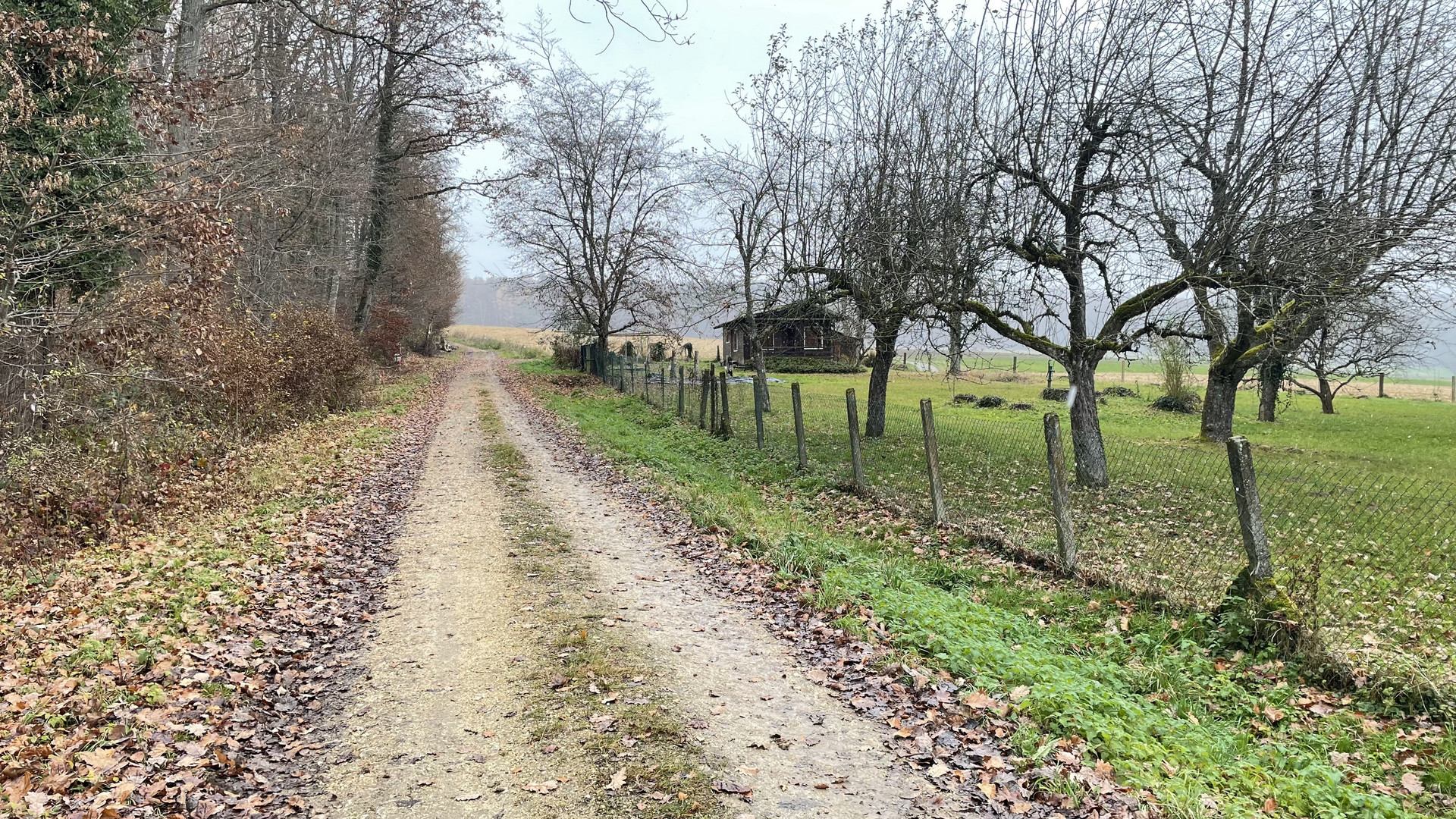 Winterlich(t) - Frohes Farbenspiel im grauen Winterwetter :)