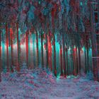 Winterlich(t) im Hohen Venn (3D-Bild mit Rot/Cyan-Brille betrachten)