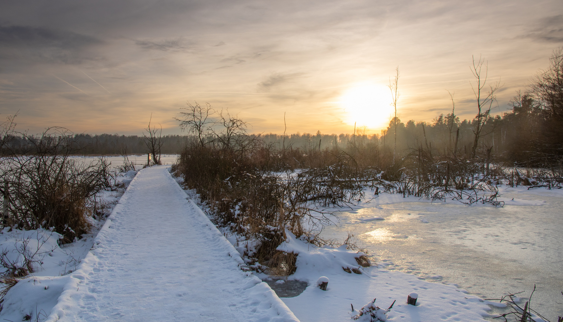 Winterlicht im Moor