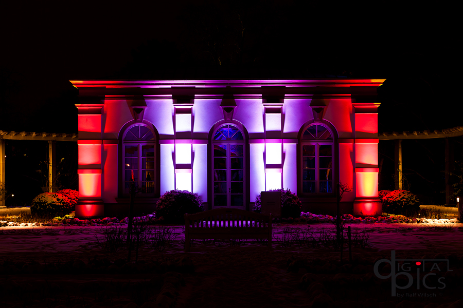 Winterlicht im Palmengarten