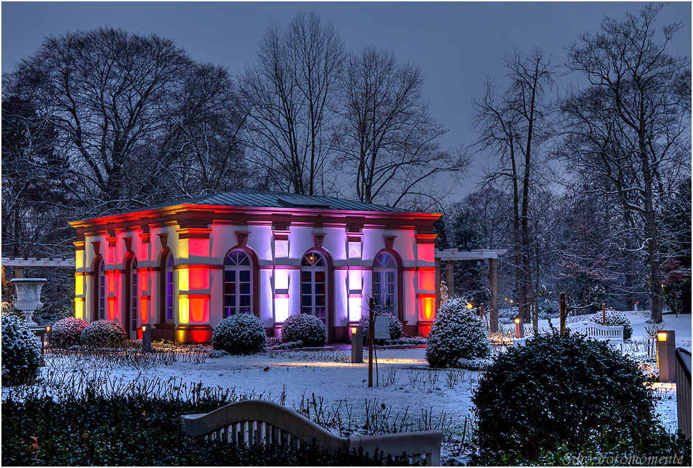 Winterlicht Im Palmengarten Viii Foto Bild Landschaft Garten