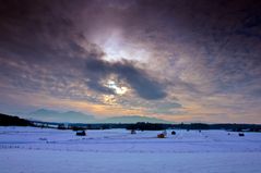 Winterlicht in Haarmoos