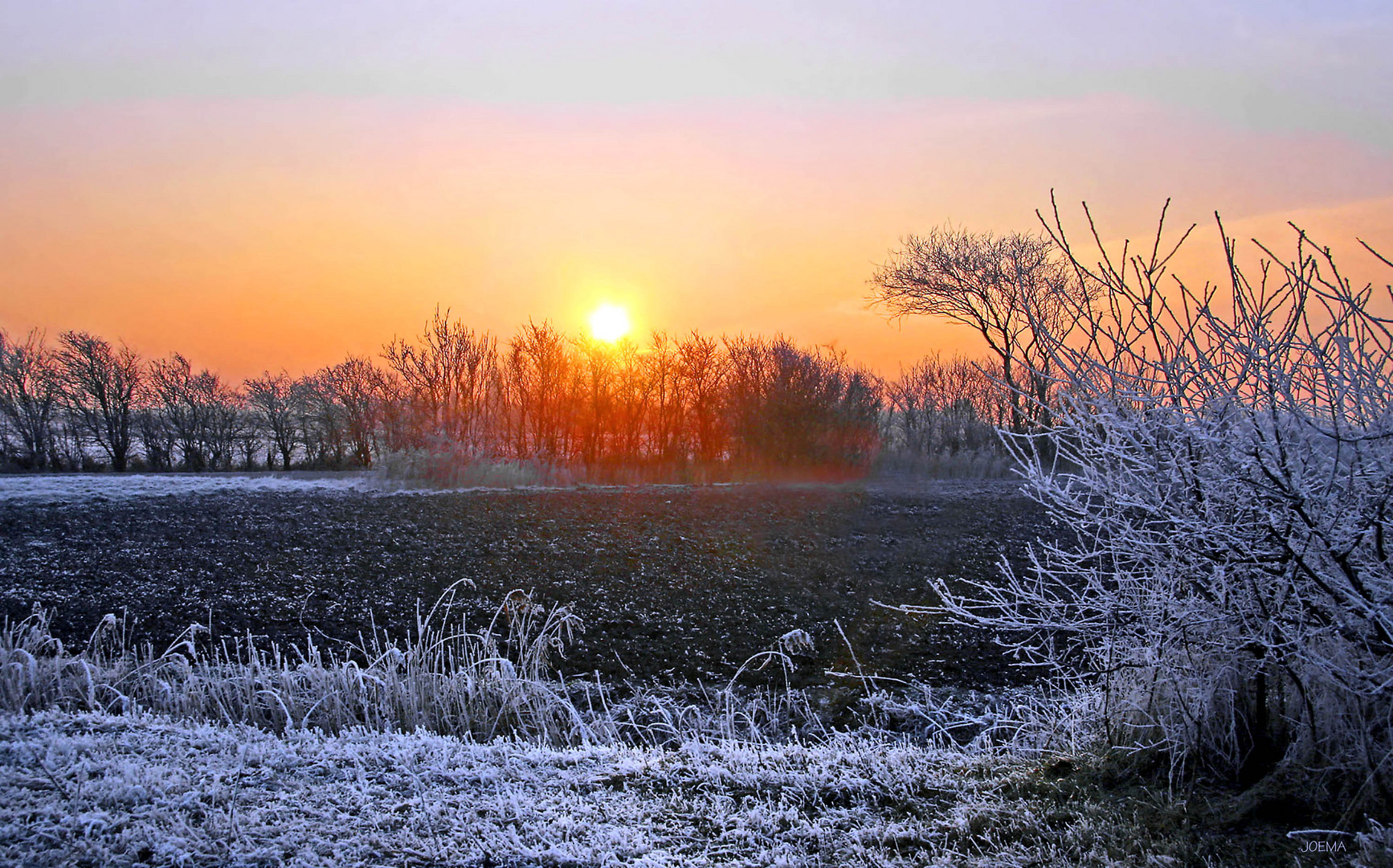 Winterlicht in Zeeland