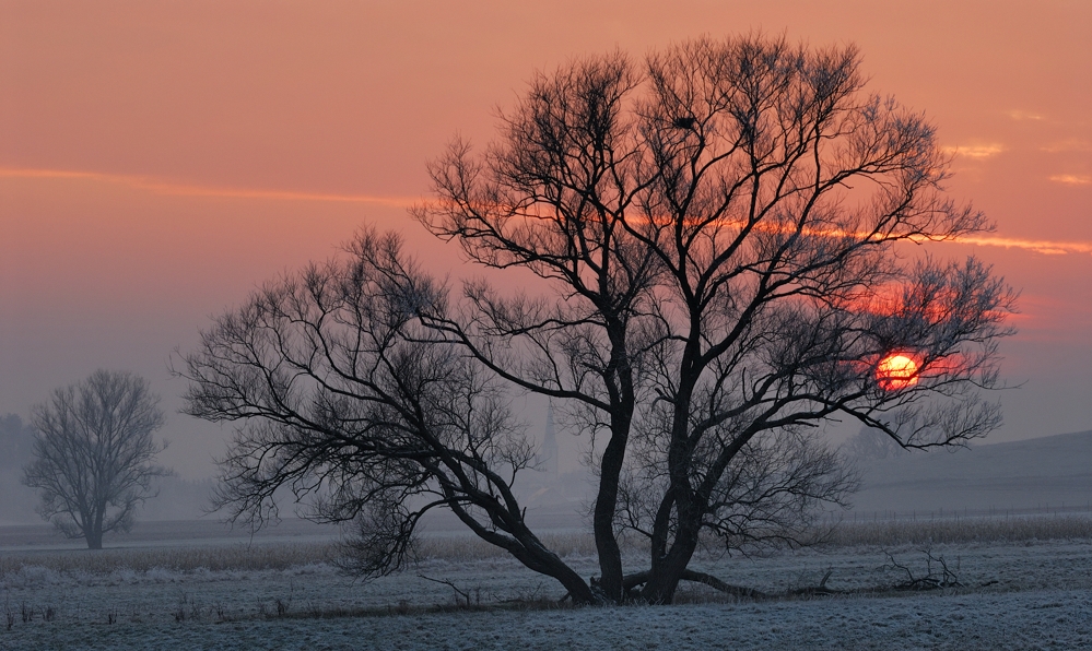 *Winterlicht IV*