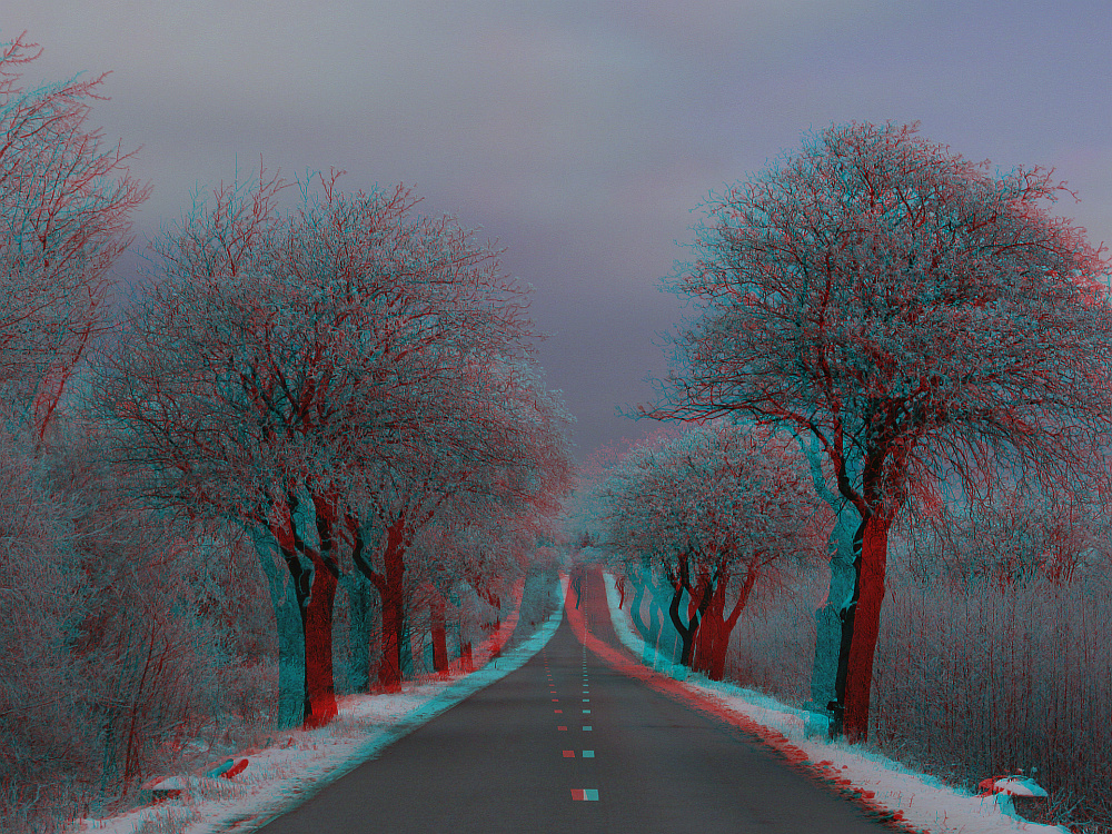 Winterlich(t), noch schnee-und eisfrei. (3D-Bild mit Rot/Cyan-Brille betrachten)