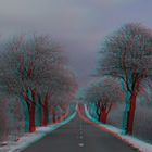 Winterlich(t), noch schnee-und eisfrei. (3D-Bild mit Rot/Cyan-Brille betrachten)