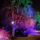 Winterlichter 1