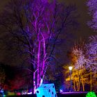 Winterlichter 2 2016