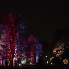Winterlichter 2016 im Luisenpark Mannheim - Beleuchtete Bäume 2