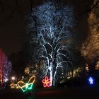 Winterlichter 2016 im Luisenpark Mannheim - Beleuchtete Bäume