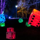 Winterlichter  2016 im Luisenpark Mannheim - Würfel