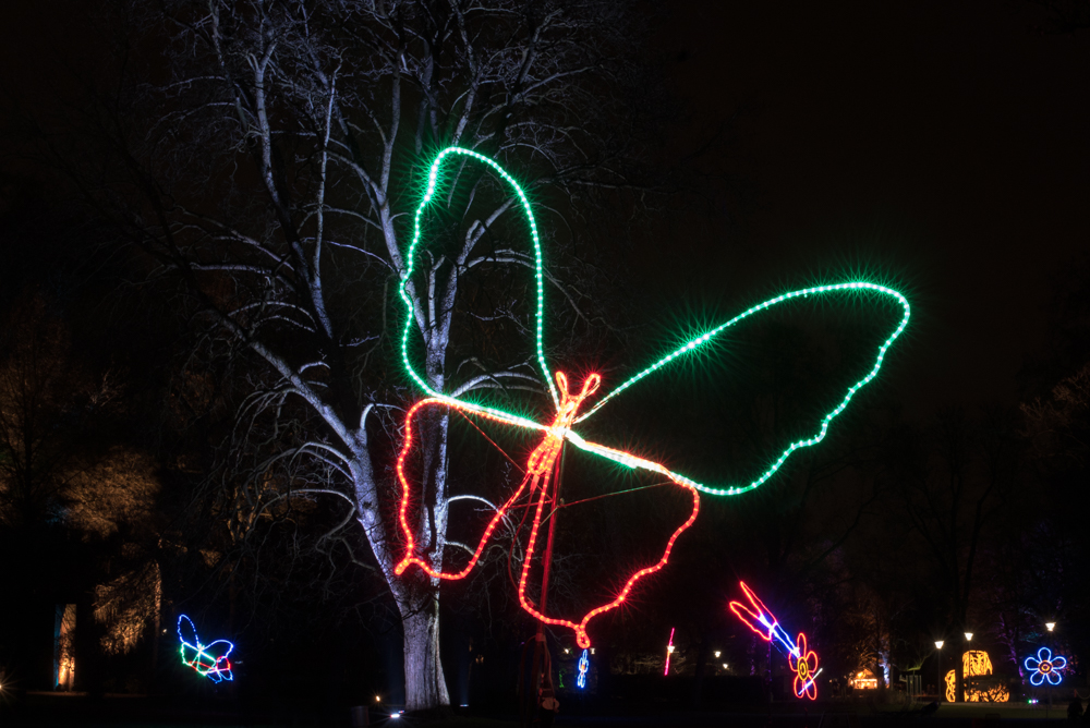 Winterlichter 2016 - Mannheim - Schmetterling