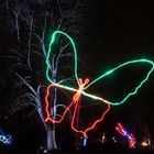 Winterlichter 2016 - Mannheim - Schmetterling