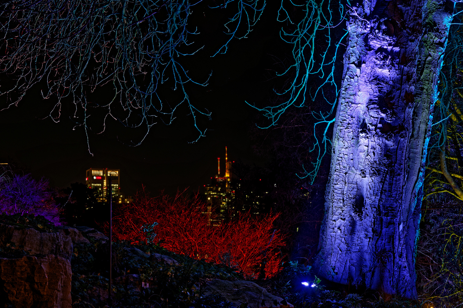 Winterlichter 2018/2019 im Palmengarten Frankfurt - Beleuchteter Baum vor den Lichten der Großstadt