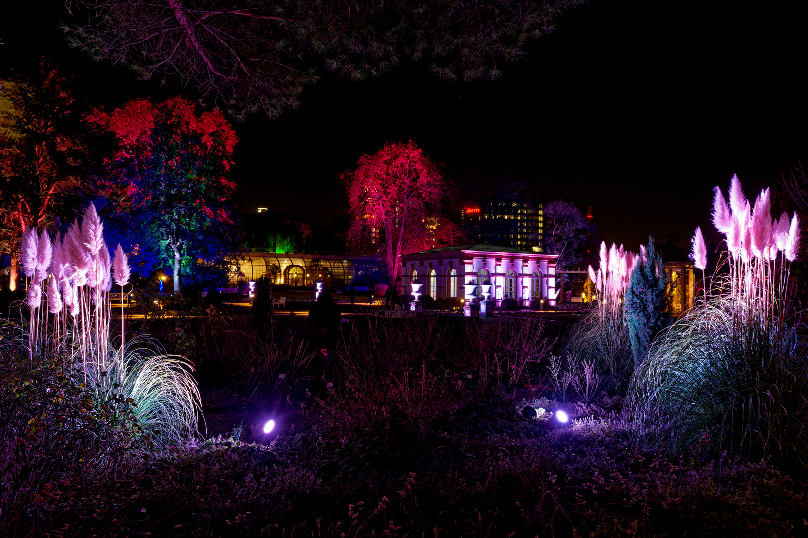 Winterlichter 2018/2019 im Palmengarten Frankfurt - Haus Rosenbrunn und Palmenhaus