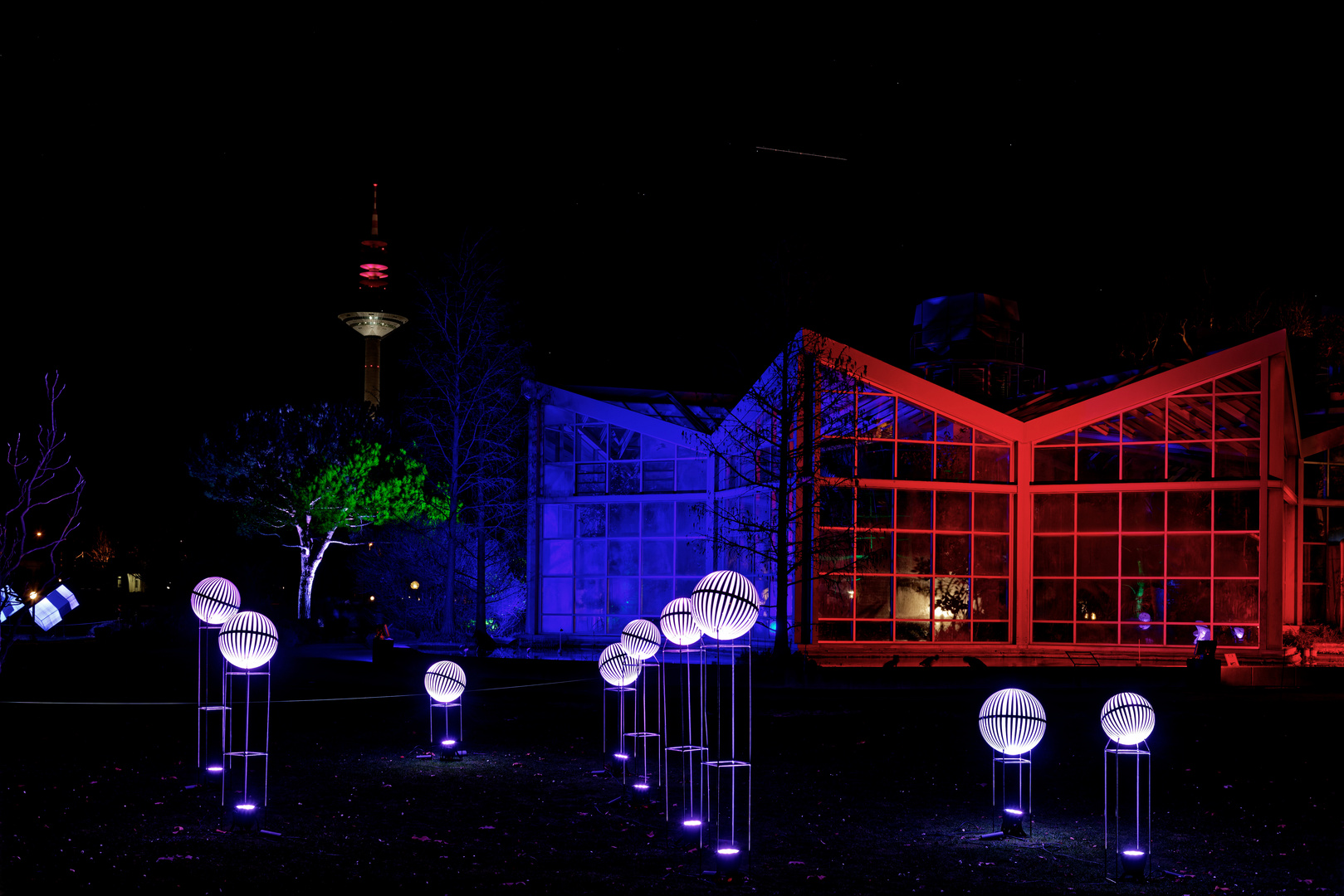 Winterlichter 2018/2019 im Palmengarten Frankfurt - Tropicarium und "Ginnheimer Spargel"