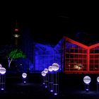 Winterlichter 2018/2019 im Palmengarten Frankfurt - Tropicarium und "Ginnheimer Spargel"