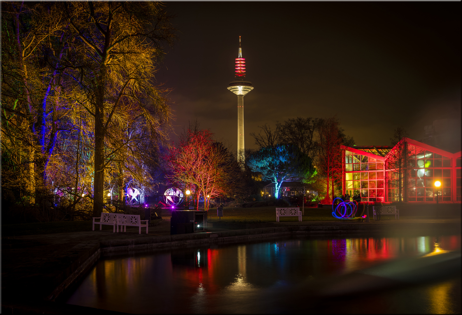 Winterlichter 2019 Palmengarten FFM...