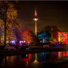 Winterlichter 2019 Palmengarten FFM...